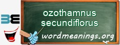 WordMeaning blackboard for ozothamnus secundiflorus